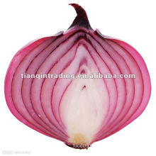 Fresh Red Onion from China